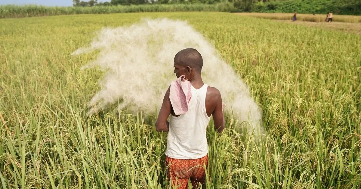 TBI FEATURED IMAGE - 2025-12-26T074528.534