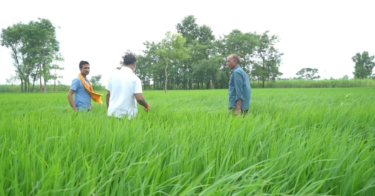 TBI FEATURED IMAGE - 2025-12-26T074703.844