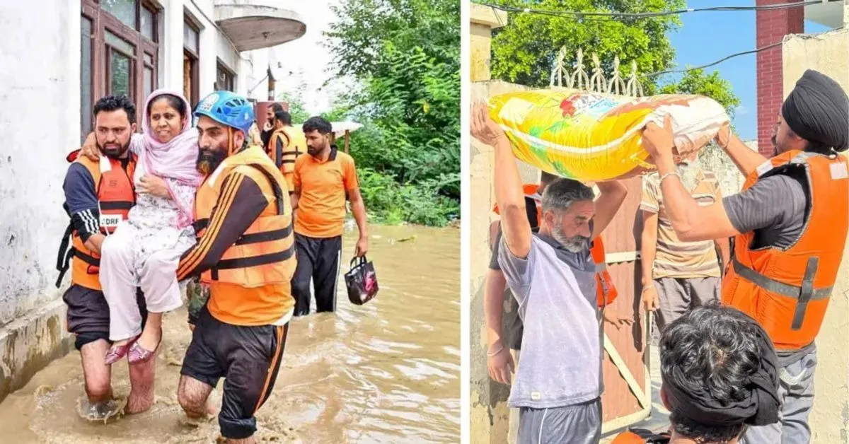 impact campaigns (2)