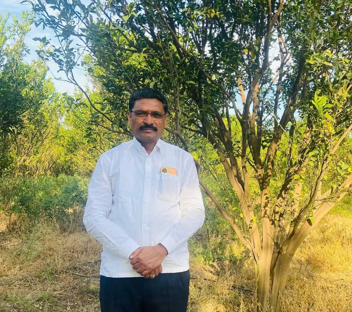 Amol Langote in his orange orchard