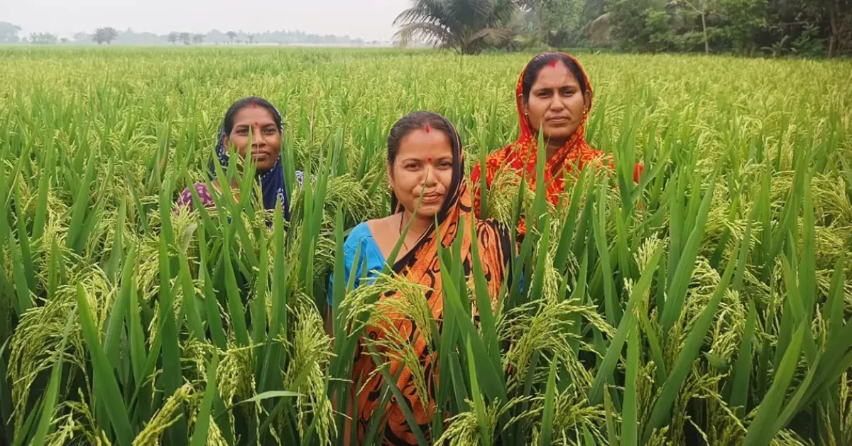 UNDP Report on Empowering Farmers, Women, and Youth Across India in 2025