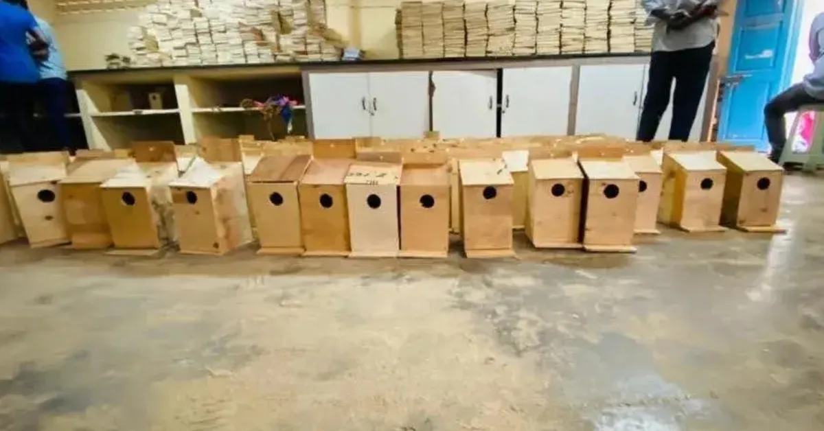 Koodugal Nest impact year