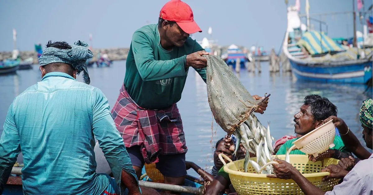 marine pollution and fishing