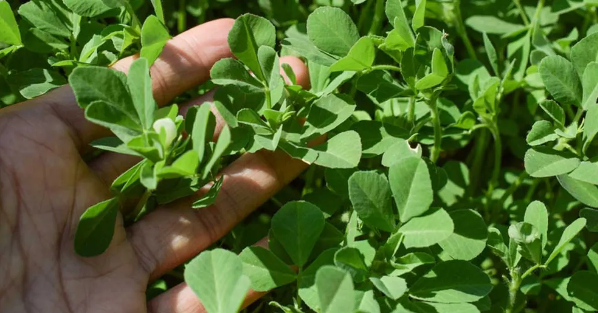 Winter indoor activities for kids