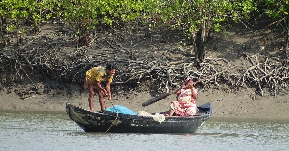sundarbans