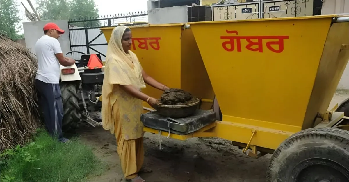 punjab biomas punjab