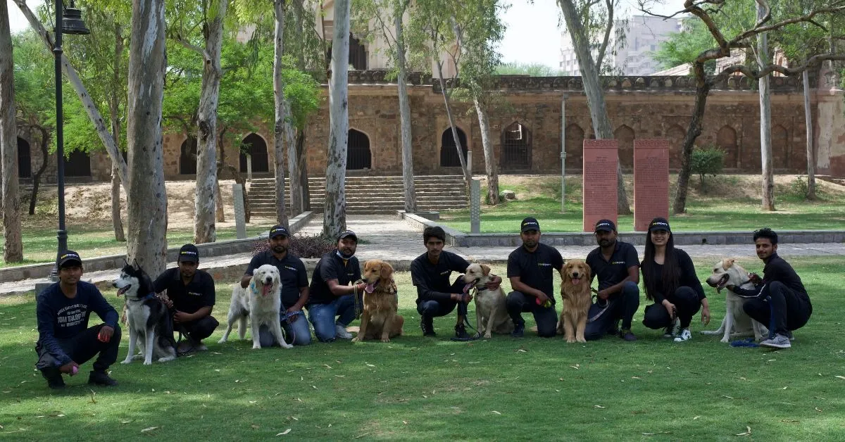 Petpipers grooming services