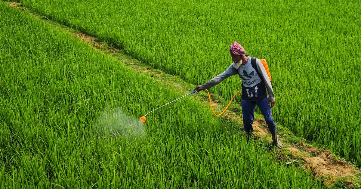 Sustainable rabi season farming