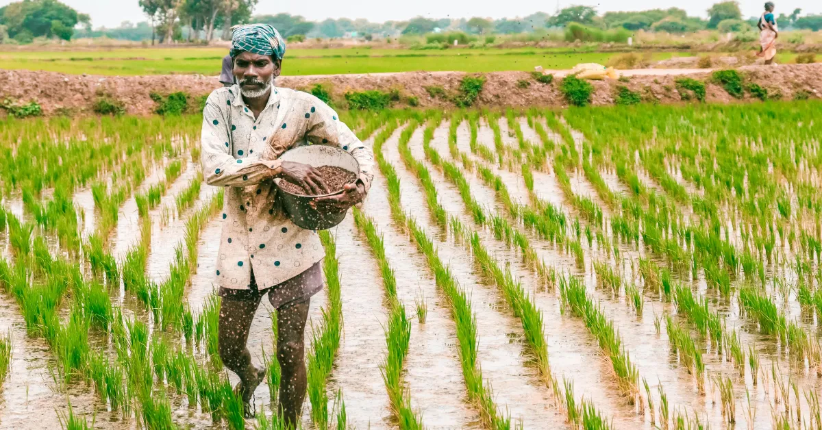 Sustainable rabi season farming