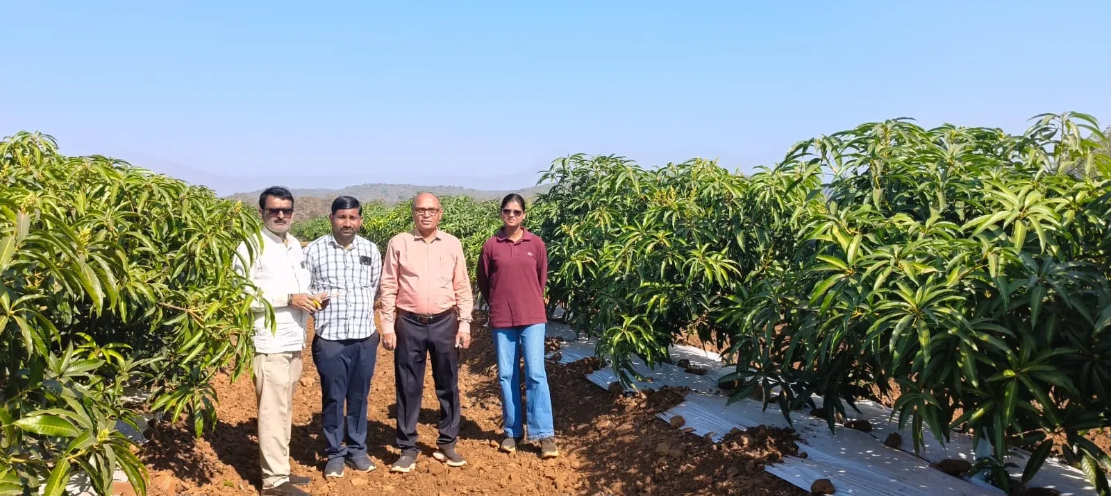 Kesar pioneer Dr Kapse (second from right) on a visit to an orchard