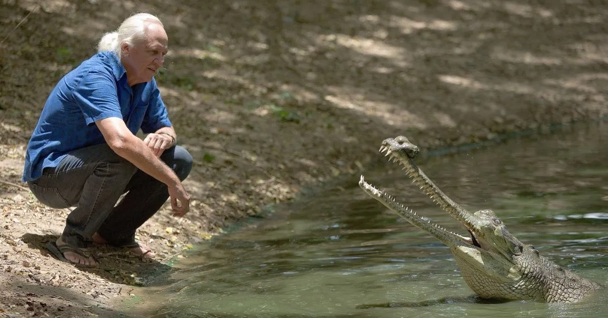 romulus whitaker (1)