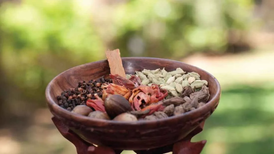 Sustainable tourism in Thekkady