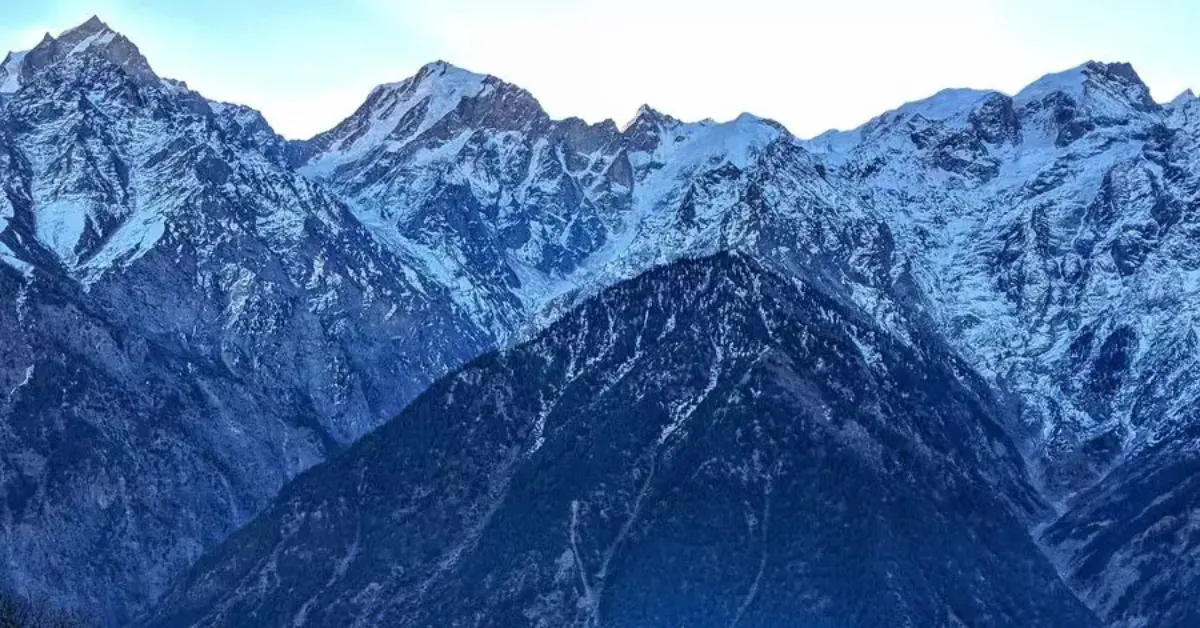 Batahar forest today supports a living ecosystem rebuilt through consistent human care.