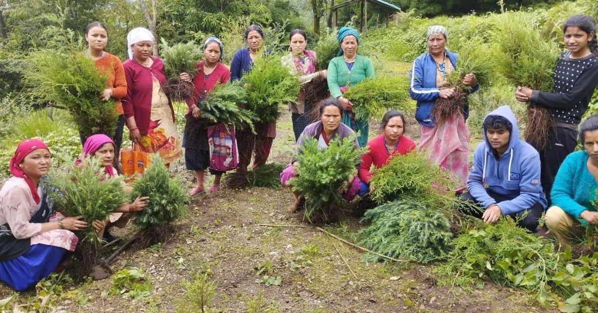 voices of rural india (1)