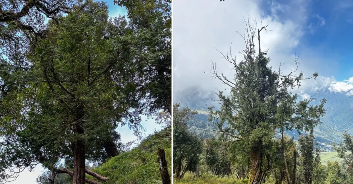 voices of rural india (2)