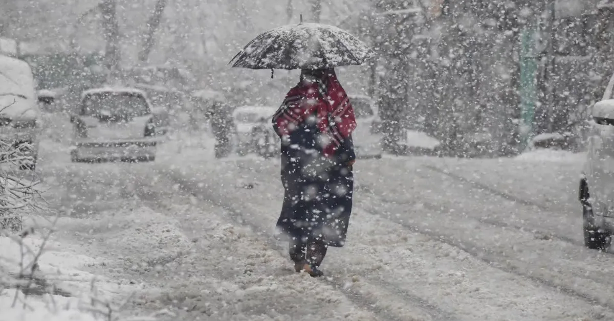 Finished kundals are dried and later fitted into willow frames before winter sales begin.