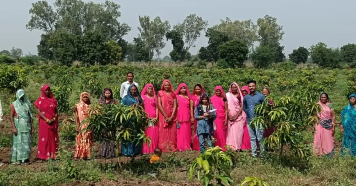 Solar lift irrigation Jharkhand