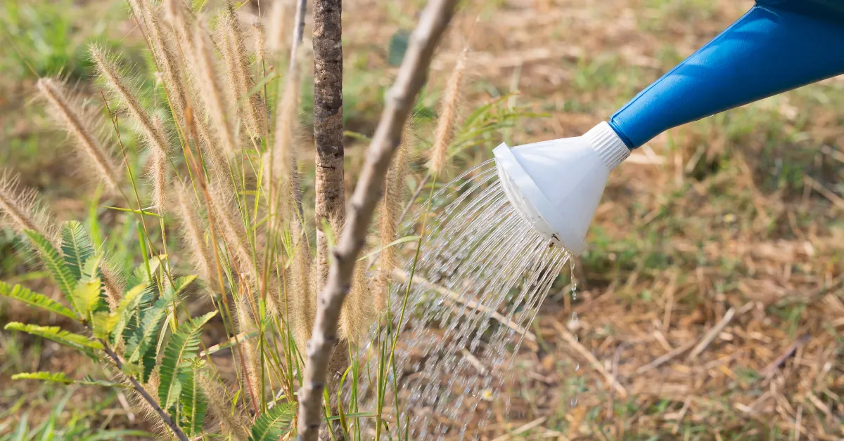 winter water saving tips