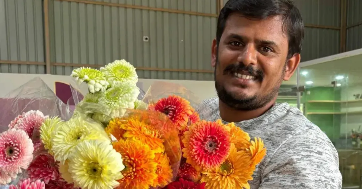 Chrysanthemum growing tips