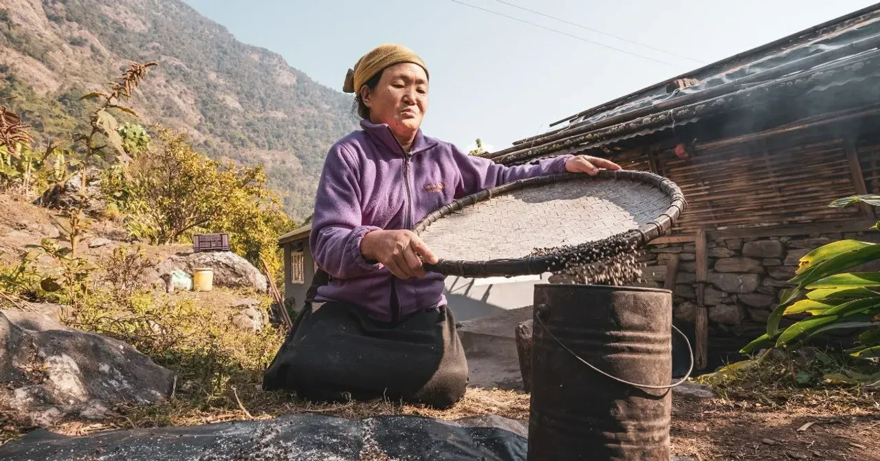 featured-img-14-2025-12-17-15-28-45