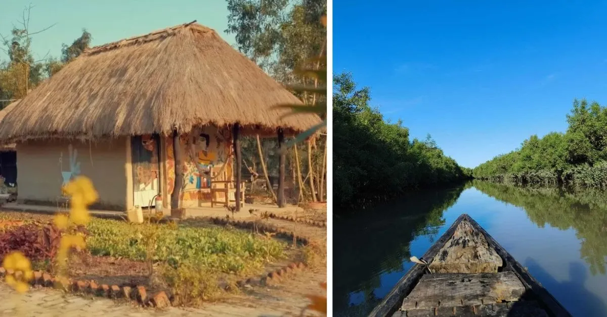 sundarbans travel (2)