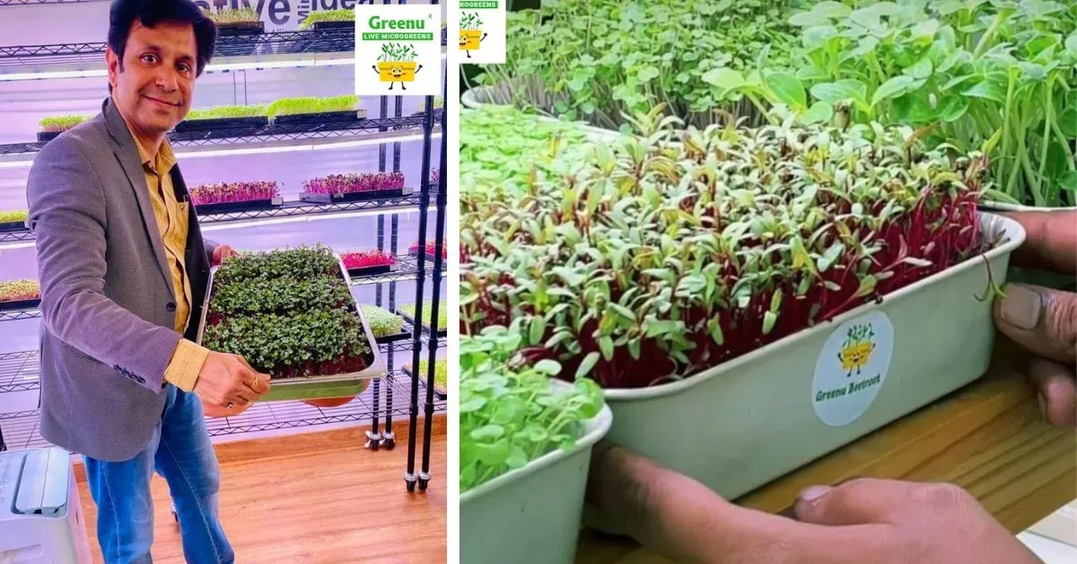 Hydroponic farming guide