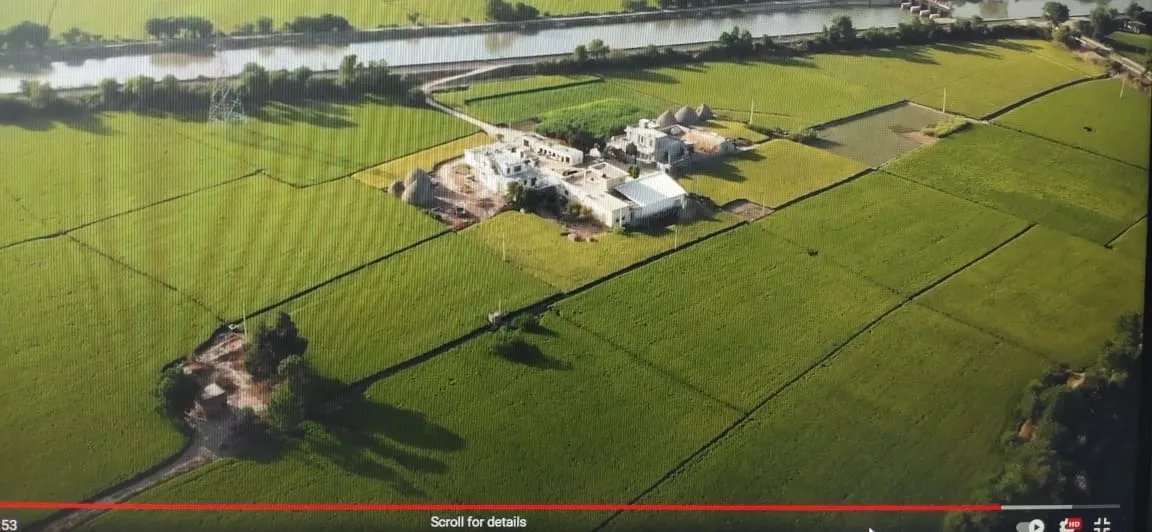 Bird's eyeview of lush Basmati fields on Panipat