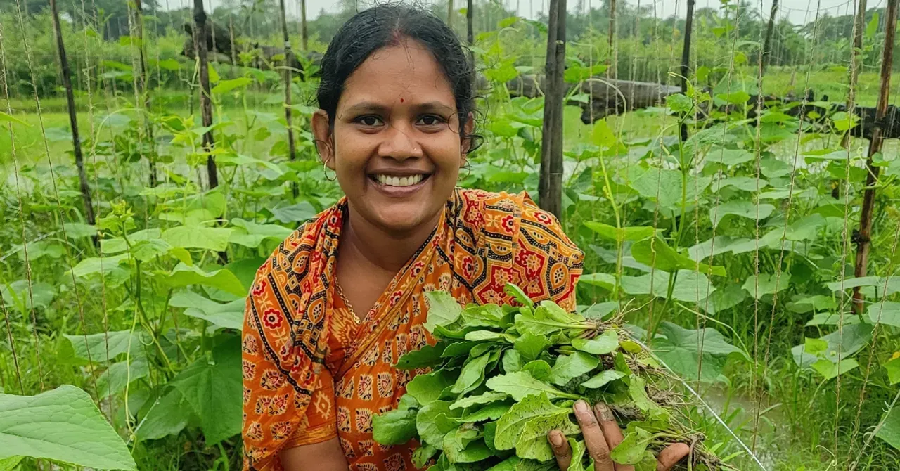 high-value-winter-crops-2026-01-29-17-55-43