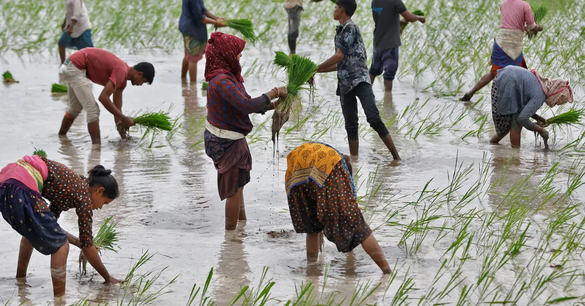 Bharat Vistar farming advice