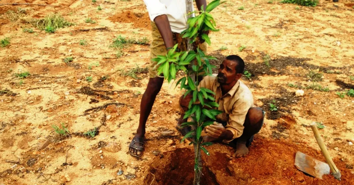 Budget 2026 carbon credits for farmers