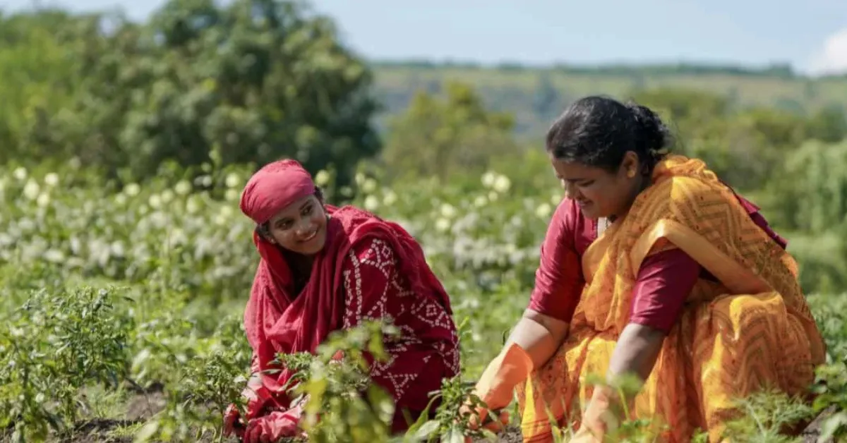 Budget 2026 carbon credits for farmers