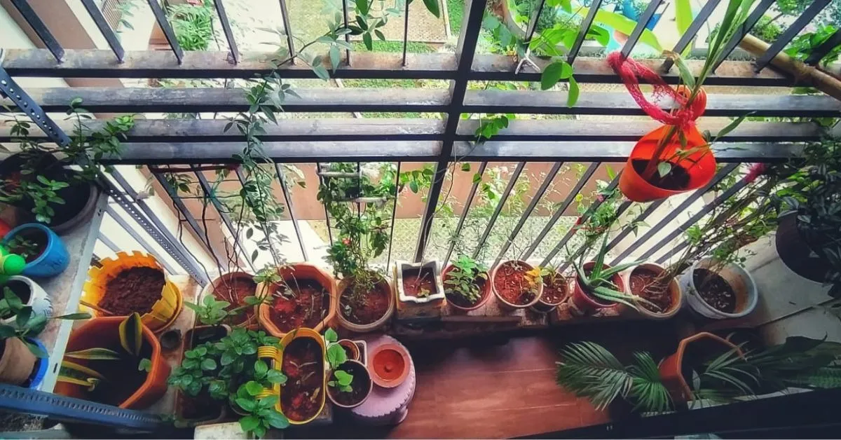balcony garden