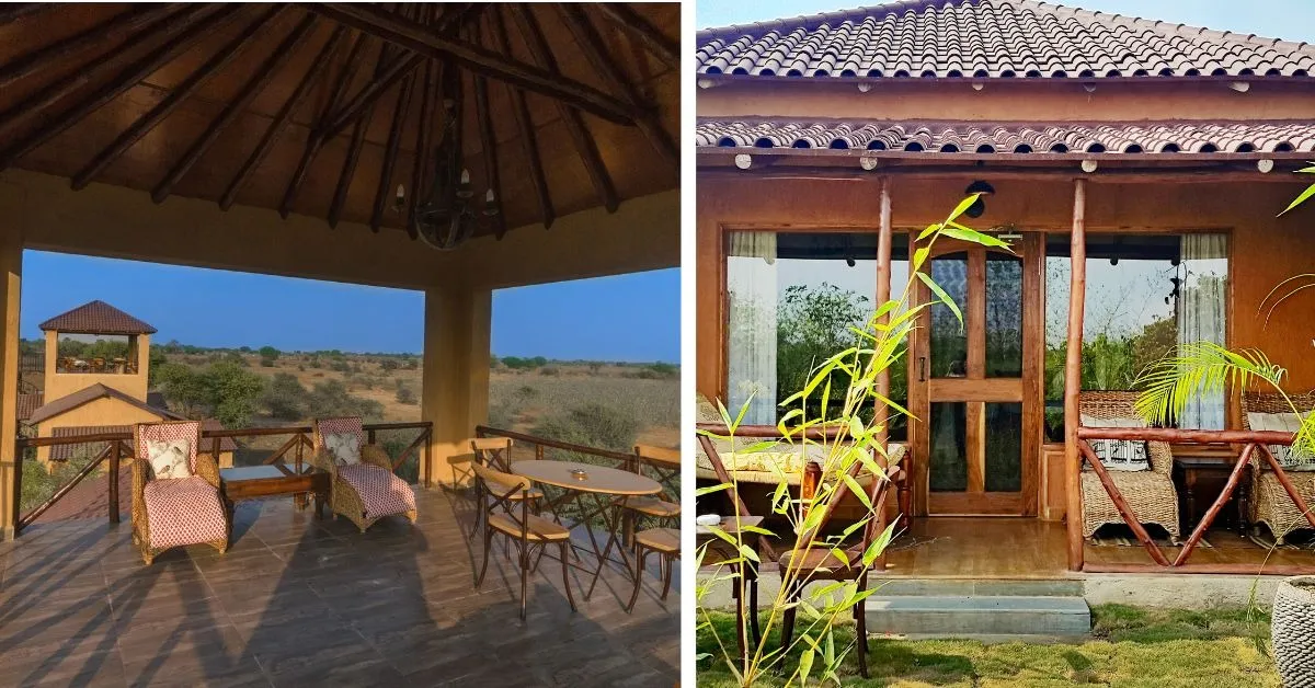 the bamboo forest experience (1)