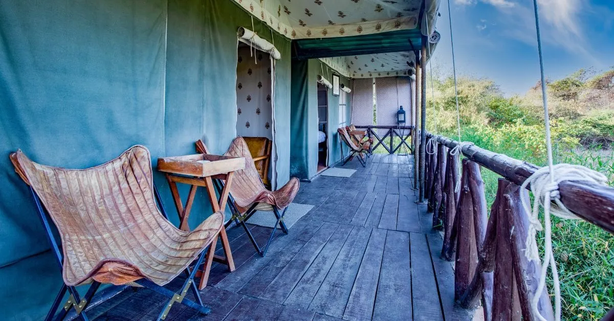 the bamboo forest experience