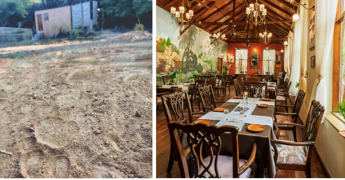 the bamboo forest experience (3)