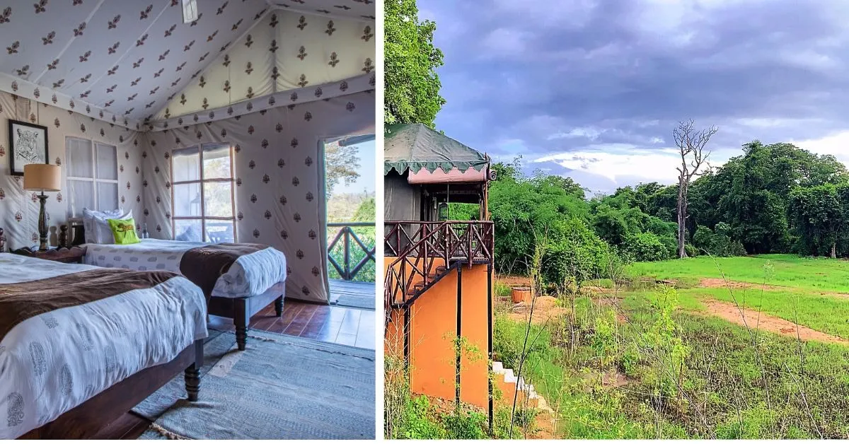 the bamboo forest experience (4)