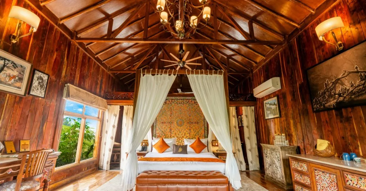 the bamboo forest experience (6)