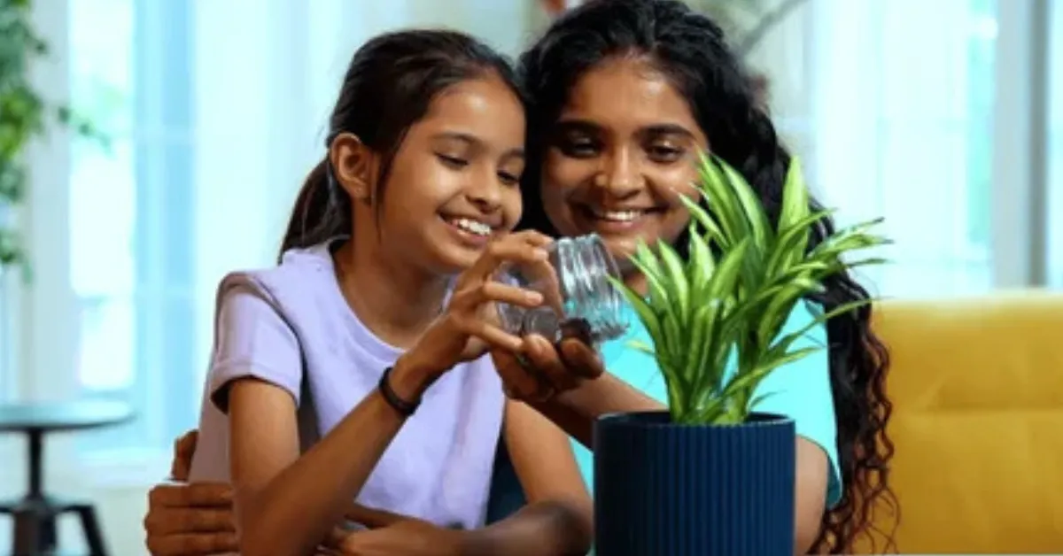 winter garden decoration