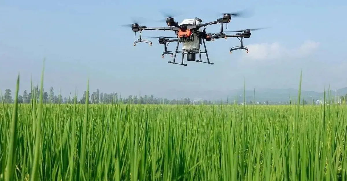 modern pulse farming