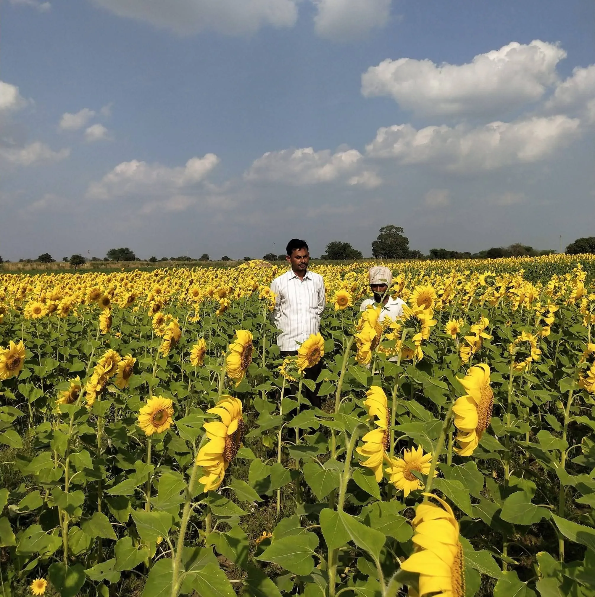 facebook_1770649614501_7426642760703719049 (1)