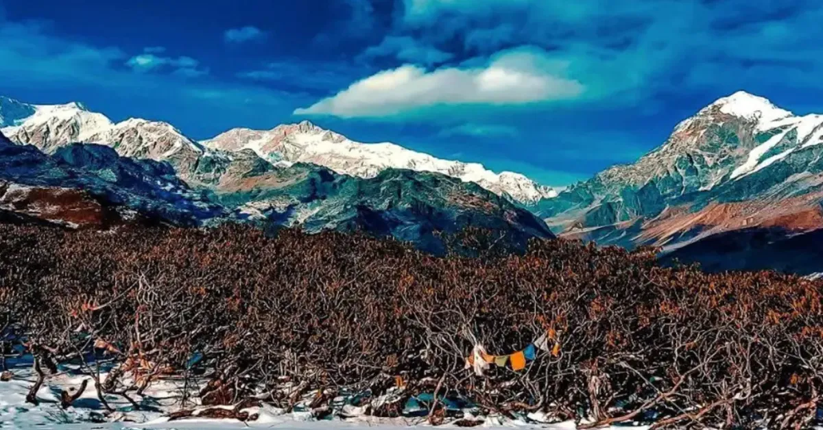 Sandakphu February trek