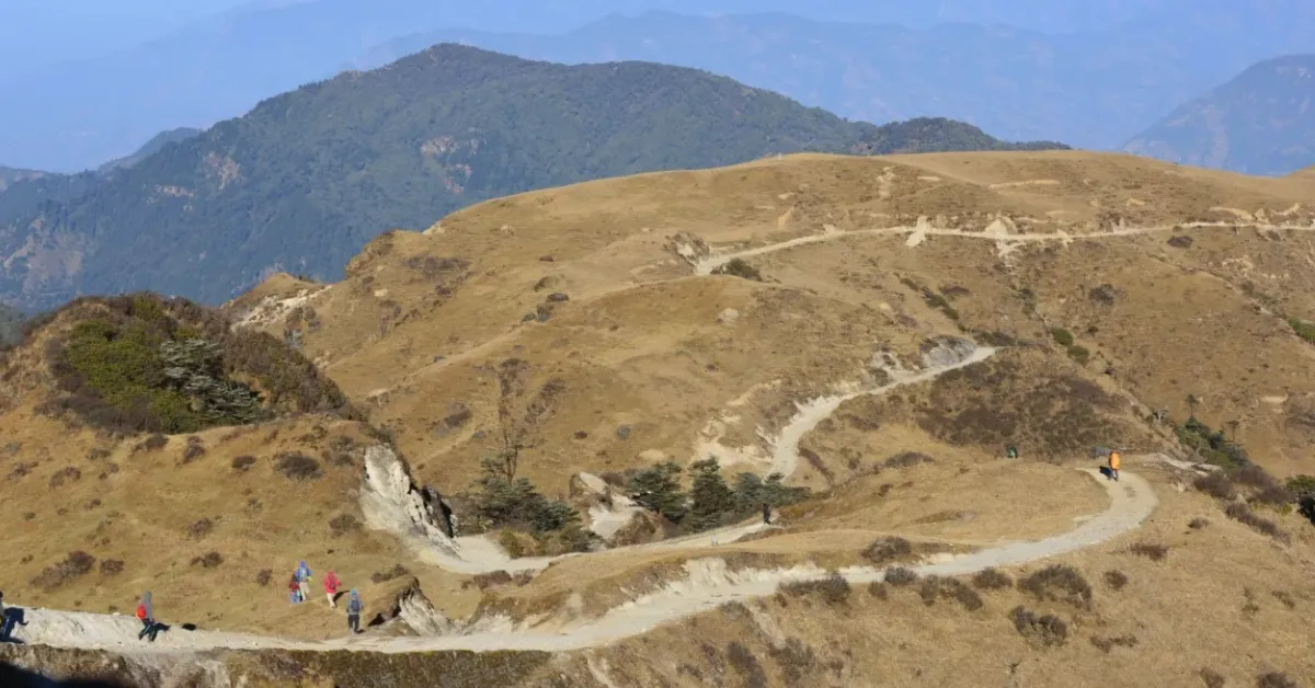 Sandakphu February trek