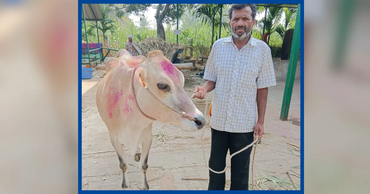 Local dairy farmers from villages near Mysuru supply milk directly to the enterprise