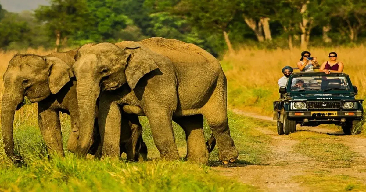 kanha-national-park-2025-11-06-15-13-20