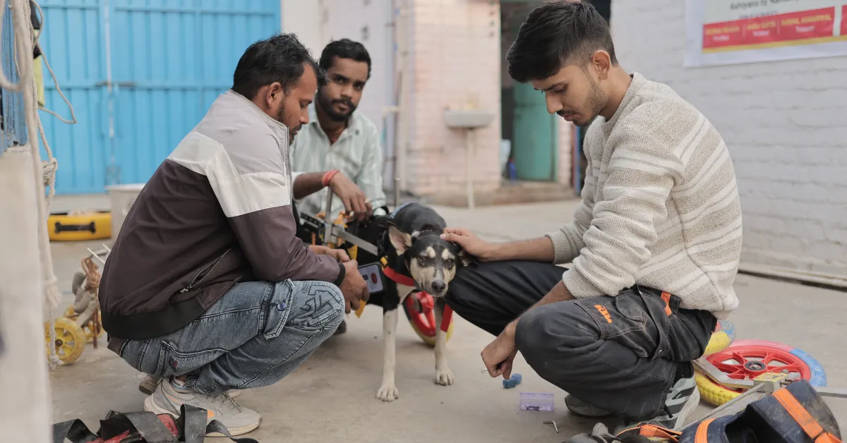Delhi NGO Animal clinic rohini