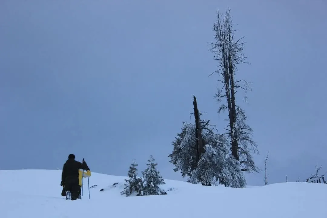 Shabnam's love for travel helped map new places on the Kashmir tourist map