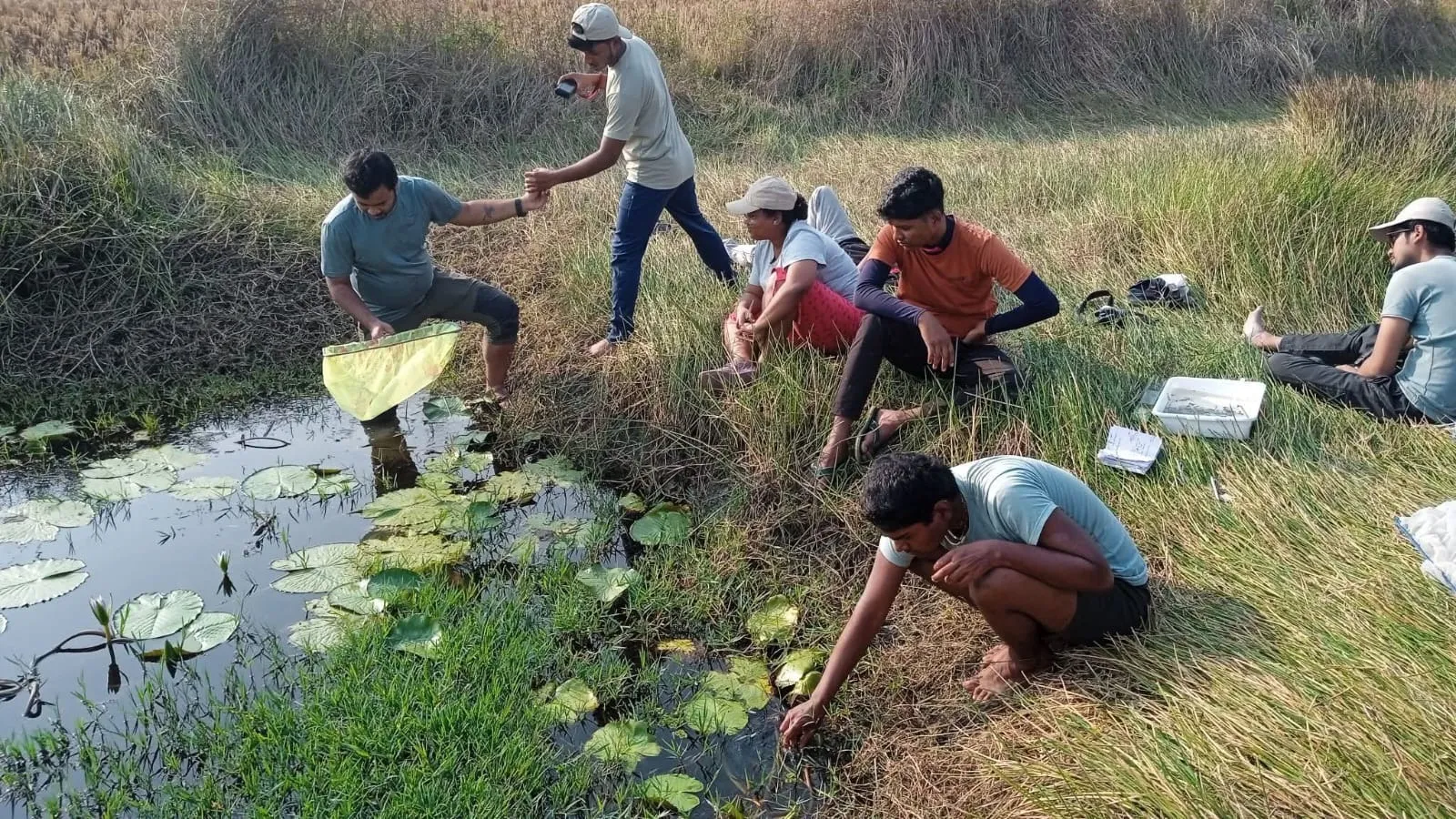 Student volunteers tending to the Dragon Fly Pond