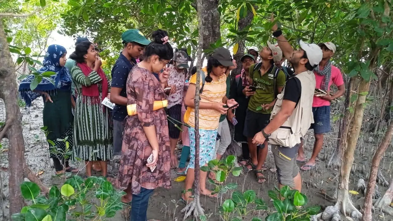 Students of Shyampur Siddheshswari College on a mangrove trip