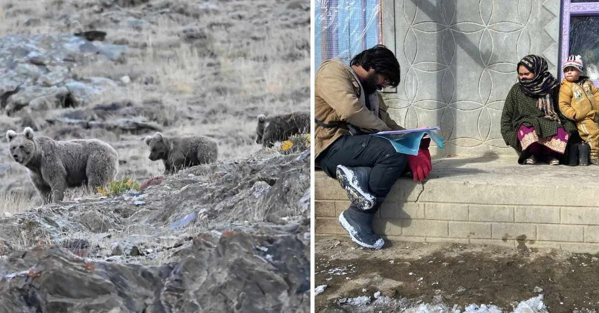 bear conservation (2)