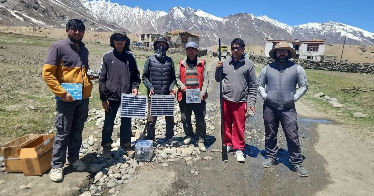 bear conservation (4)